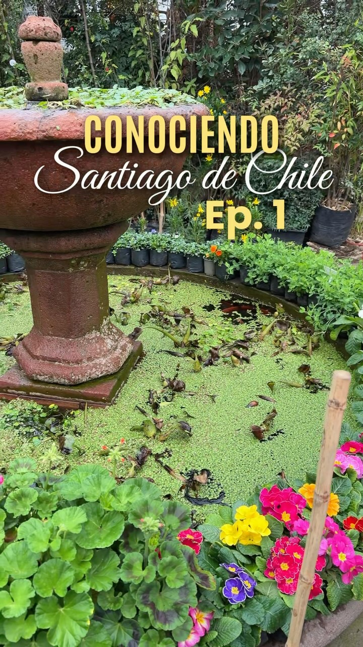 ¡Bienvenidos a esta nueva serie! 😊 Conociendo Santiago de Chile | Ep. 1 🇨🇱
Llegué a esta linda ciudad hace más de un año y sentí que era hora de salir a explorarla. Empezamos este recorrido en el