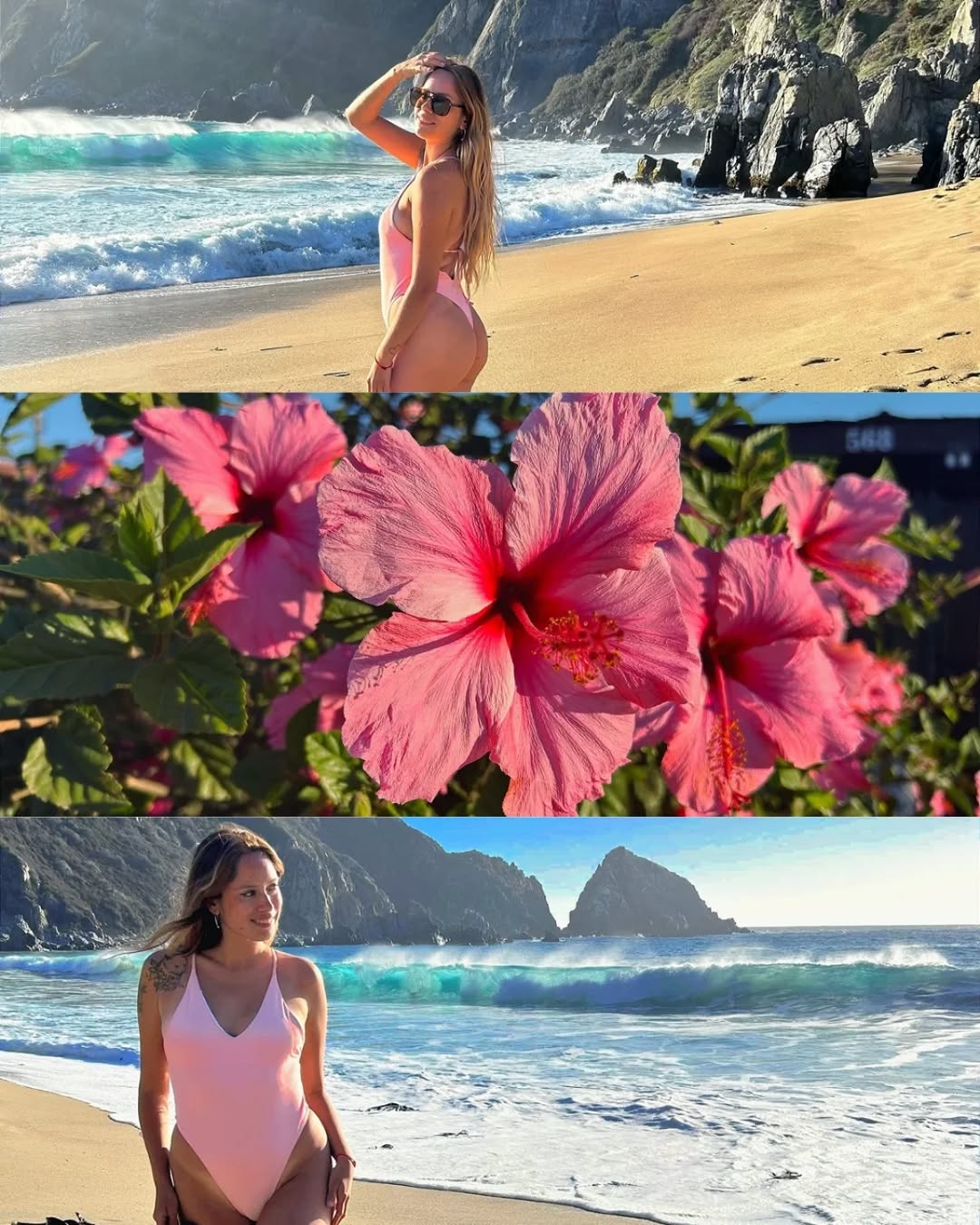 🌸🌊🍃