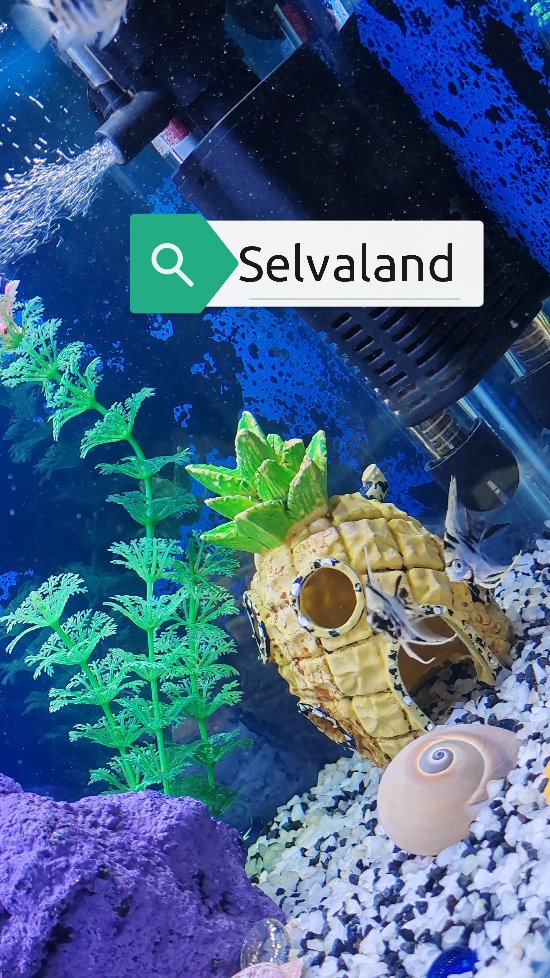 👀👀 Alerta de concurso👇🔴
Como participar?
Dale like a este reel
Etiqueta a tu amigo/a que piensas que también le gustaría ir
Sígue a @selvaland.cl
Sorteo el día 17 de agosto ✨
No se lo pierdan es