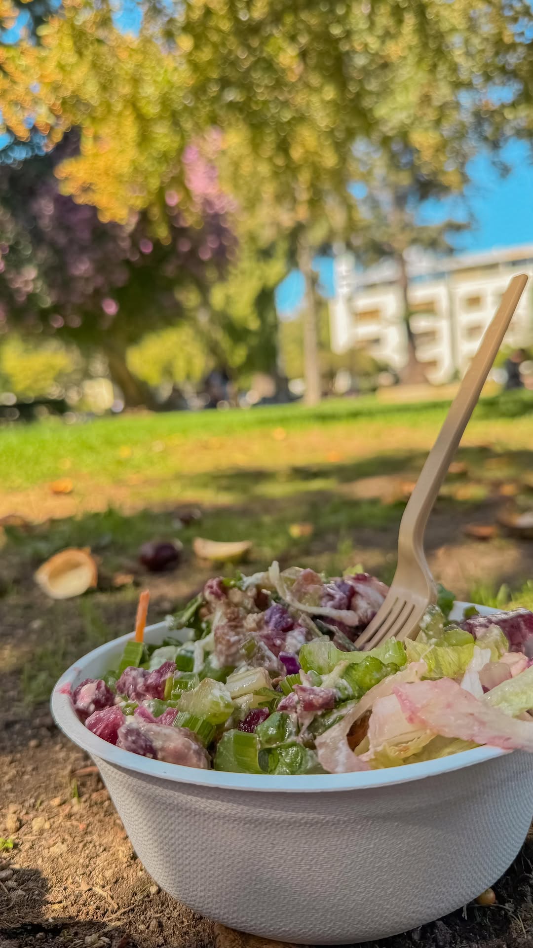 Almuerzo #saludable al paso en pleno #Conce 🥗✨❤️🩹 @maskisalad 📈
#estilodevida #lifestyle