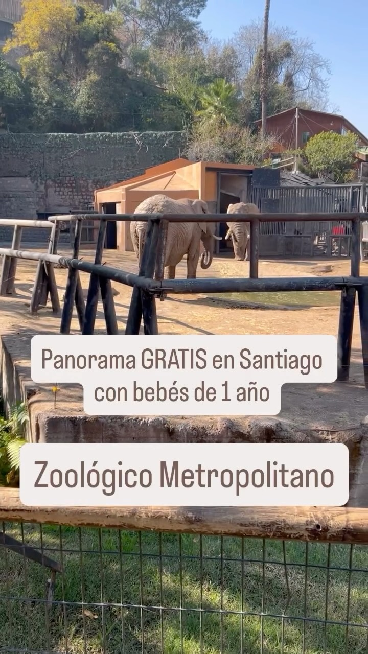 Salida familiar al Zoológico Metropolitano (Zoológico Nacional)🤎
Lo pasamos increíble viendo animales y recorriendo el cerro con las mellizas 🫶✨
✅ Si van con guaguas: lleven agua, snacks y coche sí