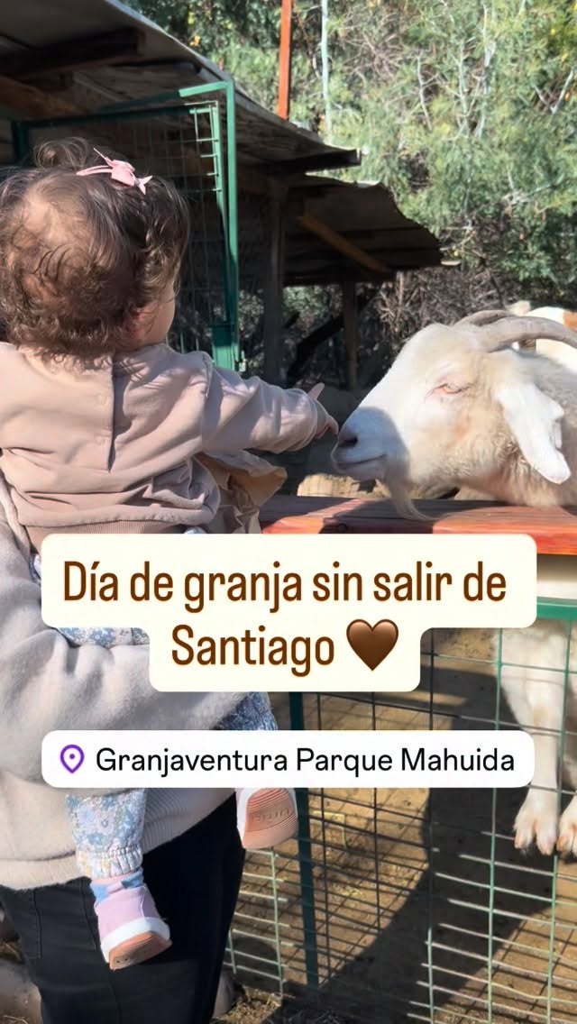 🐐 Un panorama ideal para hacer con bebés y niños pequeños en La Reina, Santiago. @granjaventuraoficial
Nos encantó porque los peques pueden interactuar con los animales, alimentarlos y recorrer el